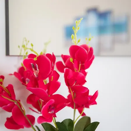 Profumo Di Mare Apartment *